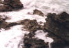 bahama7.jpg (46138 bytes)
